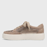 YAGO TENNIS SHOE