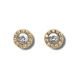 ILLUMINA SOLITAIRE STUDS
