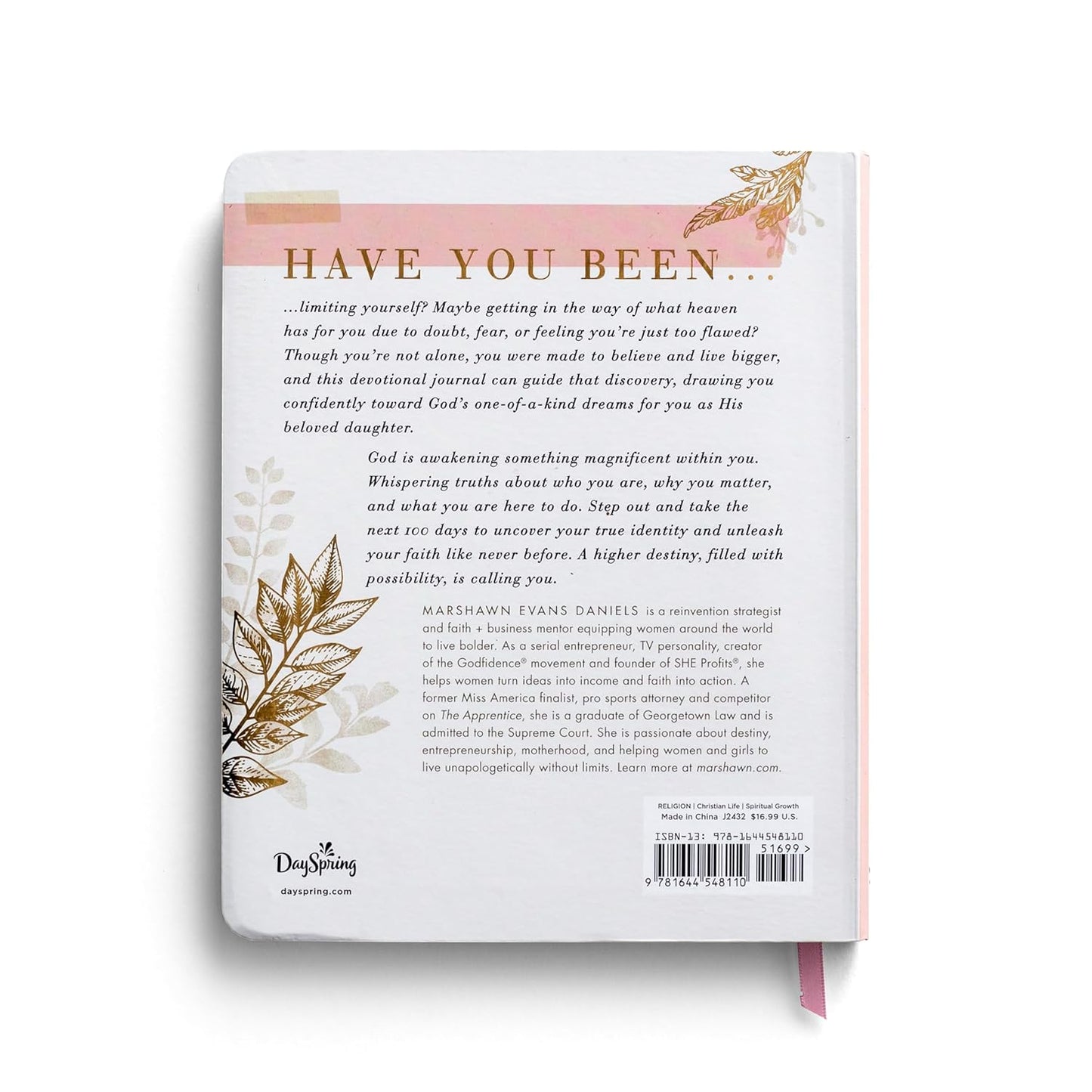 100 DAYS OF BELIEVING BIGGER DEVOTIONAL