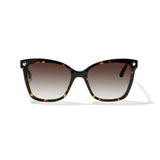PRETTY TOUGH STUD SUNGLASSES