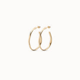 Gold hoop earrings on a white background