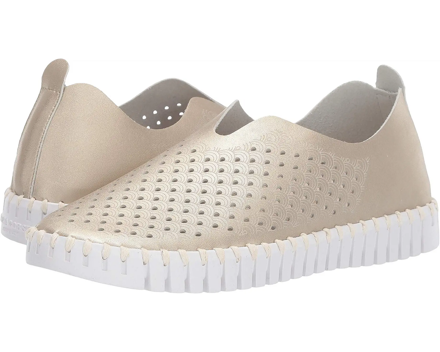 TULIP 3576 SLIP ON SHOE - TresChicTexas