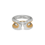 Silver and gold ring on a white background