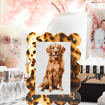 Tortoiseshell photo frame with a dog picture on a desk